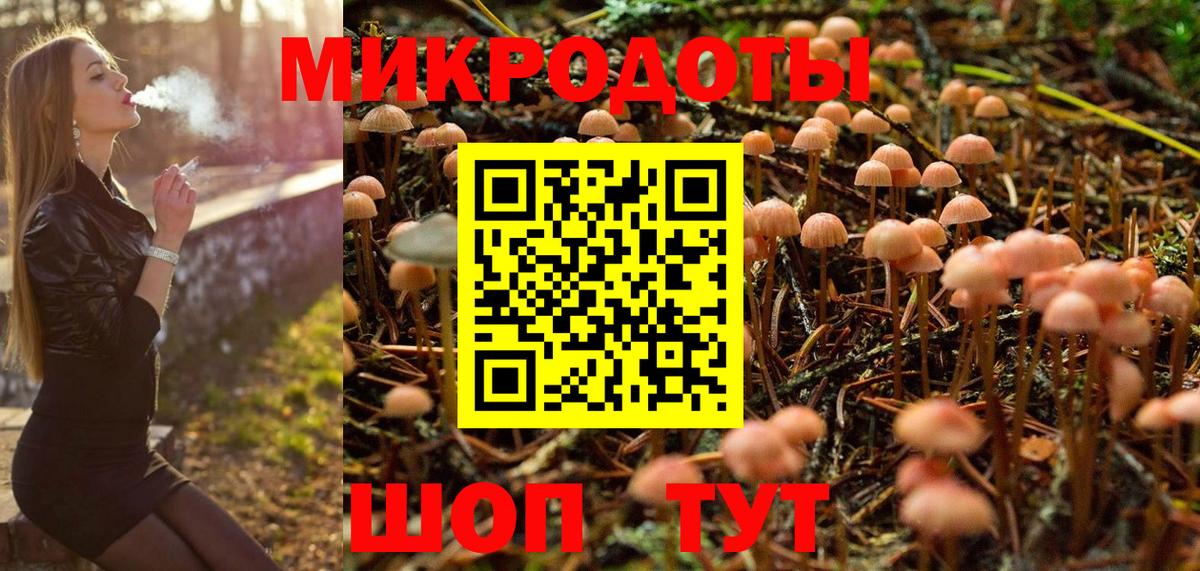 Псилоцибиновые грибы Psilocybine cubensis  Псилоцибиновые грибы Psilocybe  Кудрово  где купить   Вход с VPN 